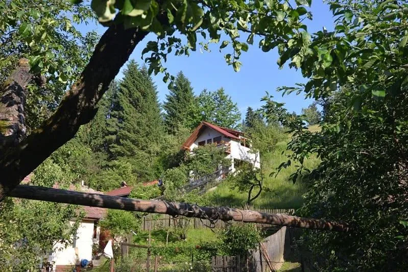 Image 1 of Cabana Vânătorilor