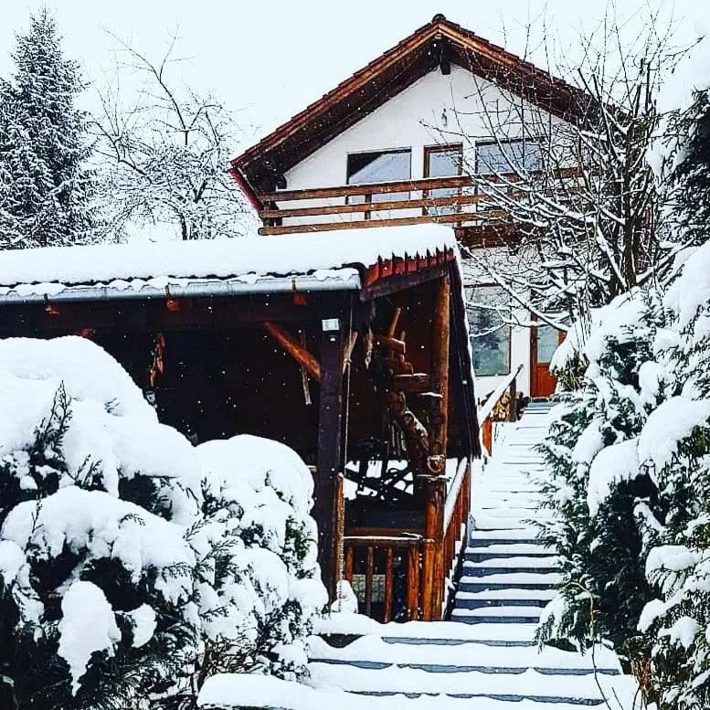 Image 6 of Cabana Vânătorilor