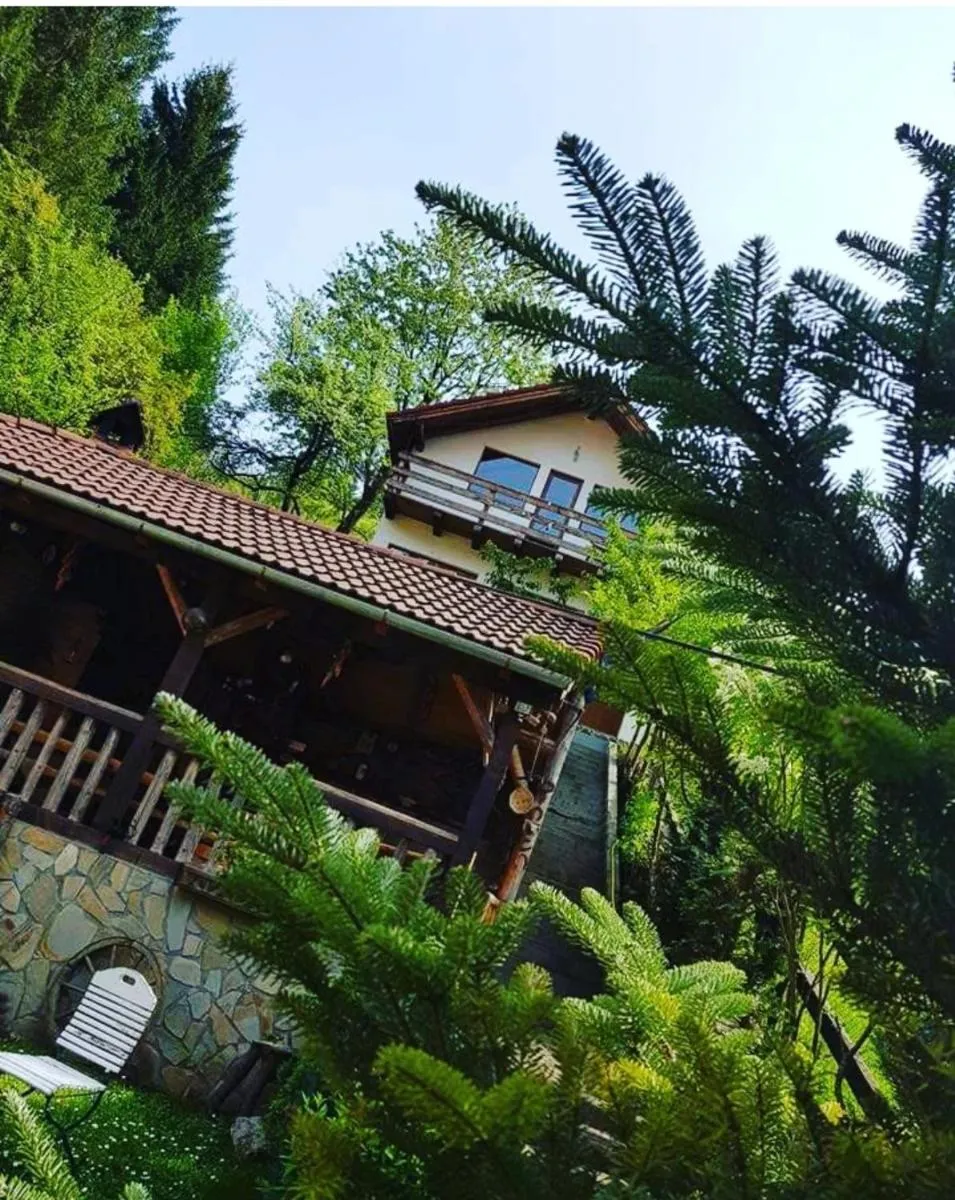 Image 7 of Cabana Vânătorilor