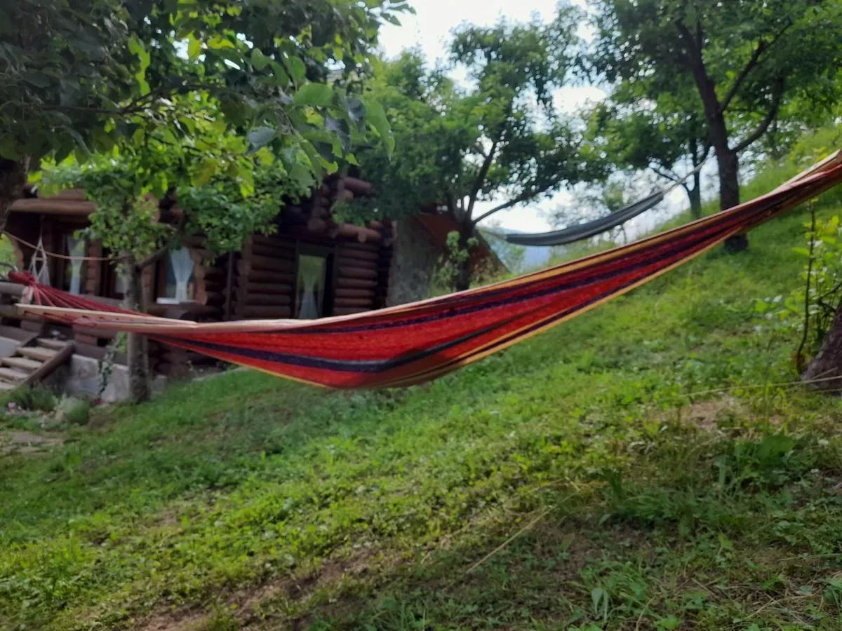 Image 7 of Cabana din Revier