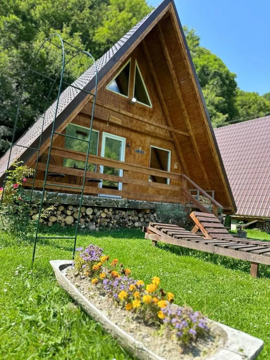 Image 6 of Cabanutze Satic