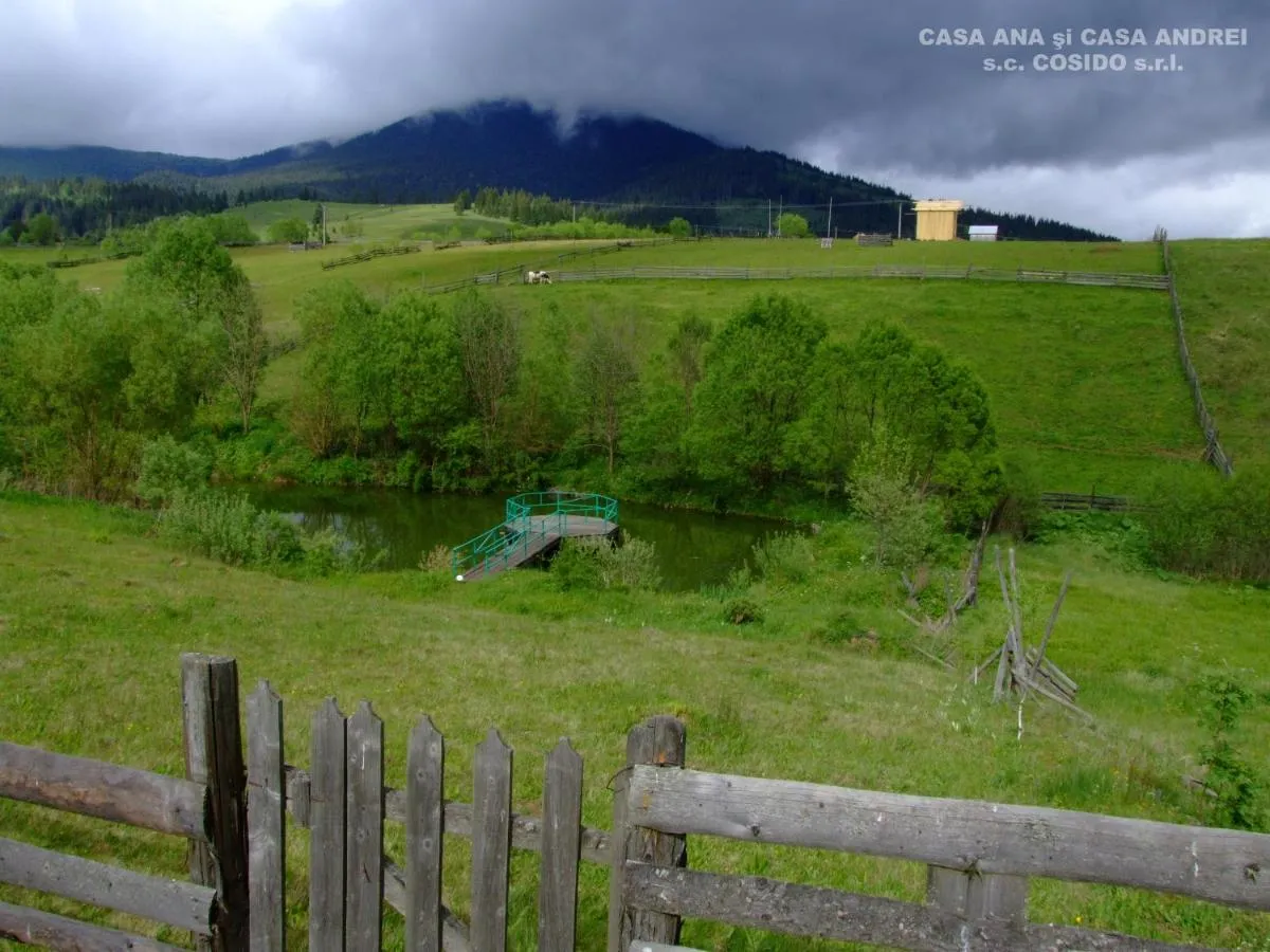 Image 7 of Casa Andrei Vatra Dornei