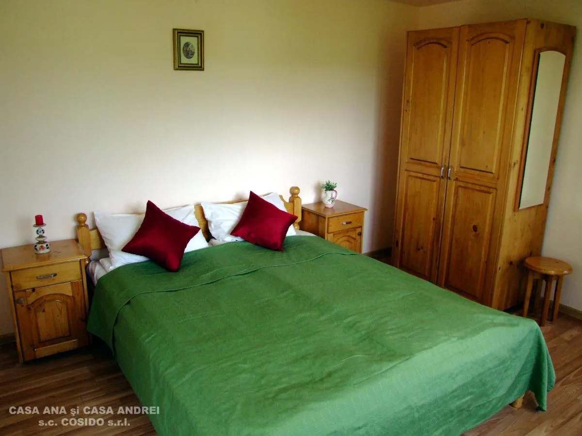Image 2 of Casa Andrei Vatra Dornei