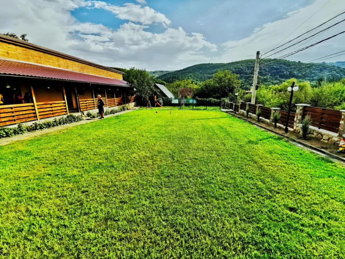 Image 6 of Casa Borcean 2