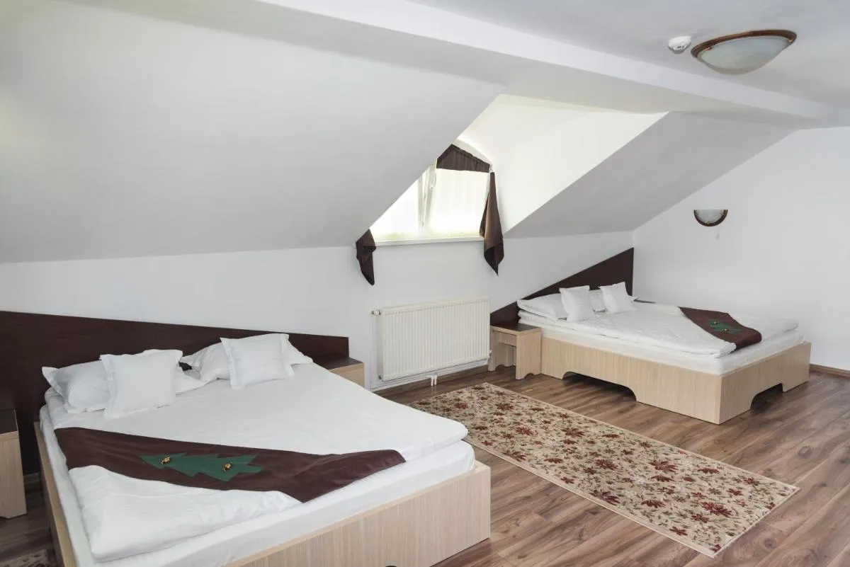 Image 7 of Casa Bradul Voronet