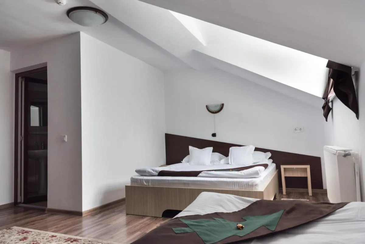 Image 3 of Casa Bradul Voronet