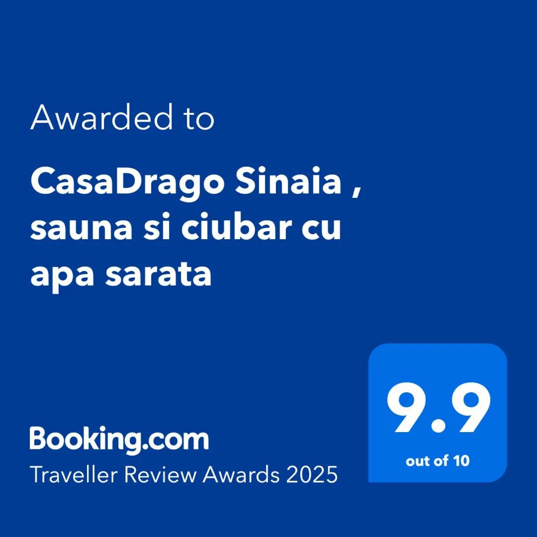 Image 4 of CasaDrago Sinaia , sauna si ciubar cu apa sarata