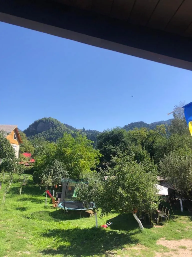 Image 6 of Casa Firuta Borsa