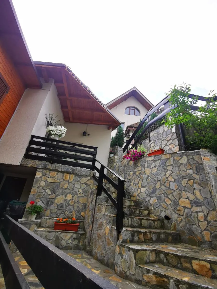 Image 4 of Casa Flandria