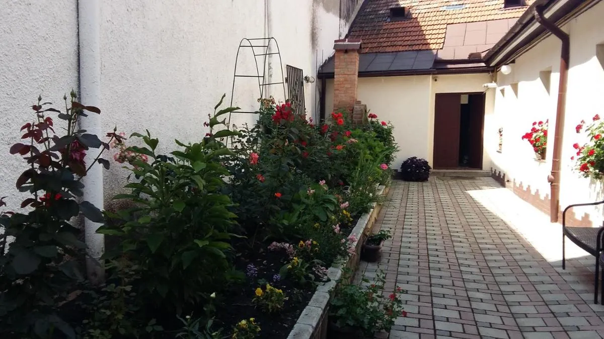 Image 6 of Casa Graef