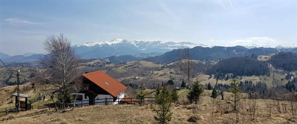 Image 3 of Casa Konigstein