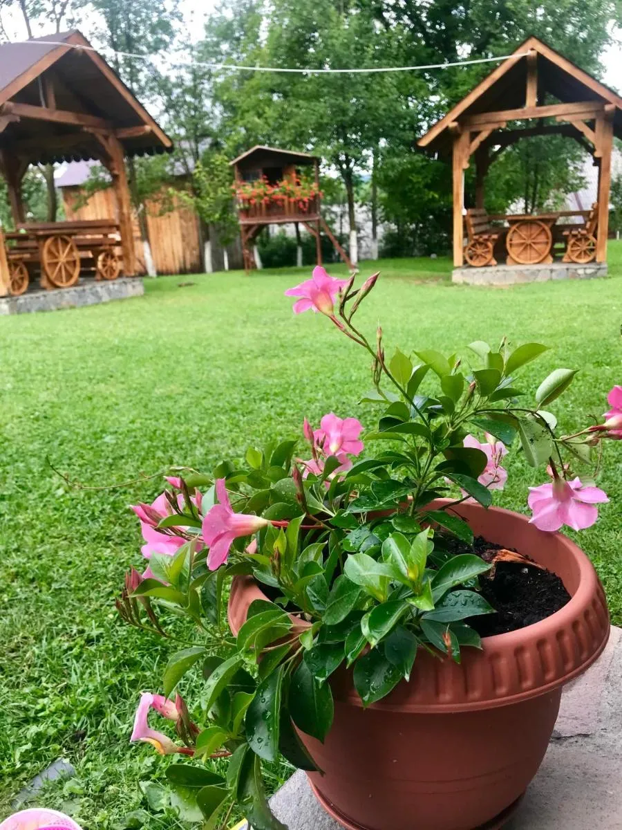 Image 7 of Casa La Bella Vista