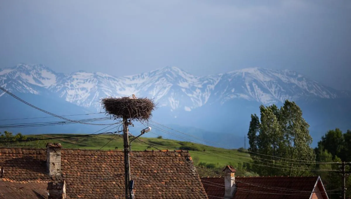 Image 2 of Casa Mosului – Transfăgărășan Bed & Breakfast