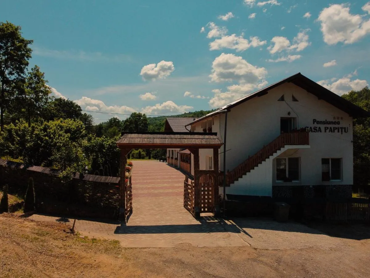 Image 2 of Casa Papițu