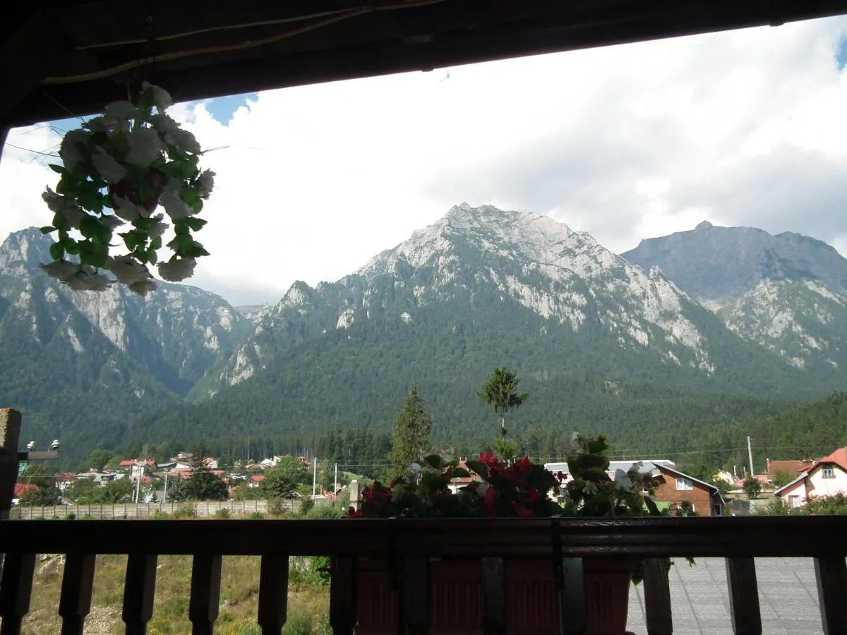 Image 6 of Casa Rosca Busteni