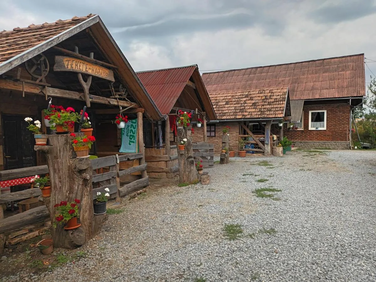 Image 4 of Casa Rustic Fehér & Fekete Vendégházak