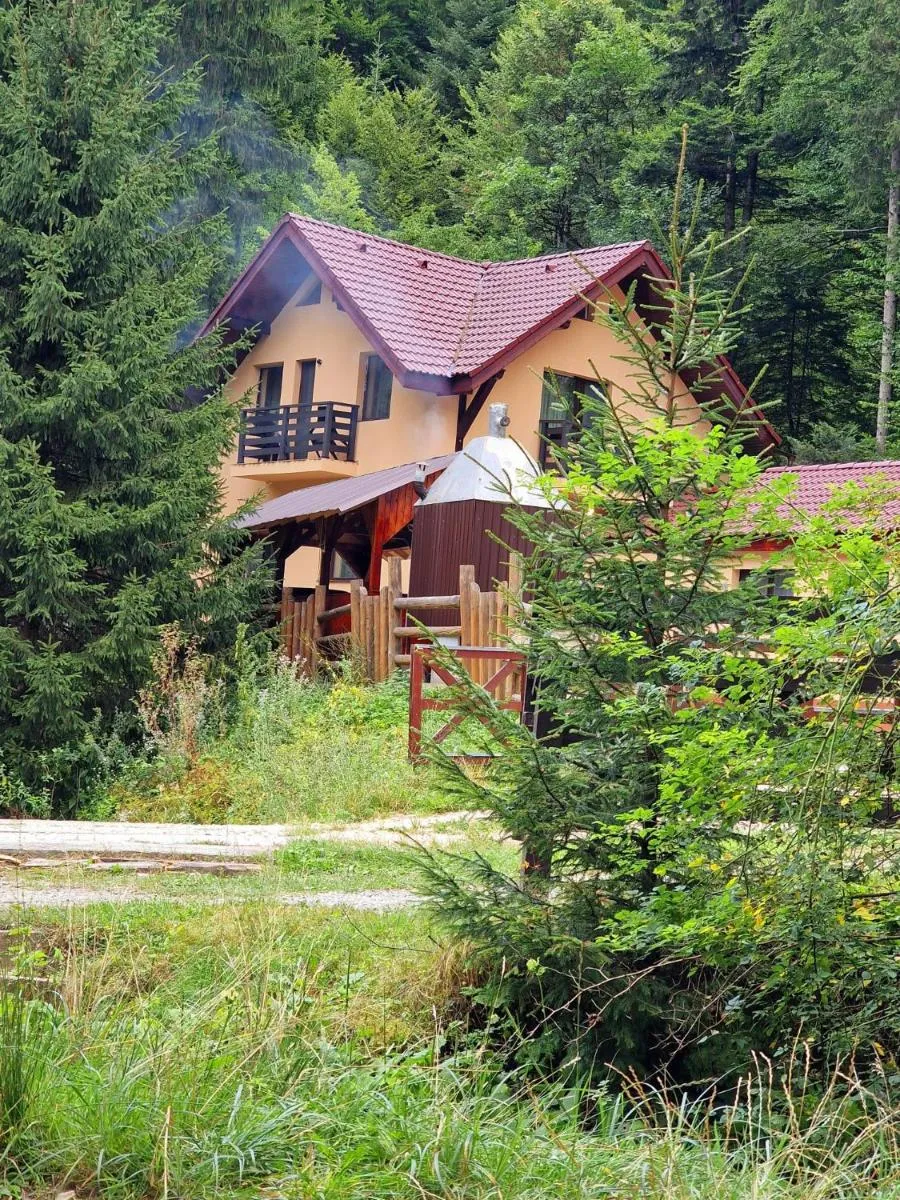 Image 4 of Casa Sinca