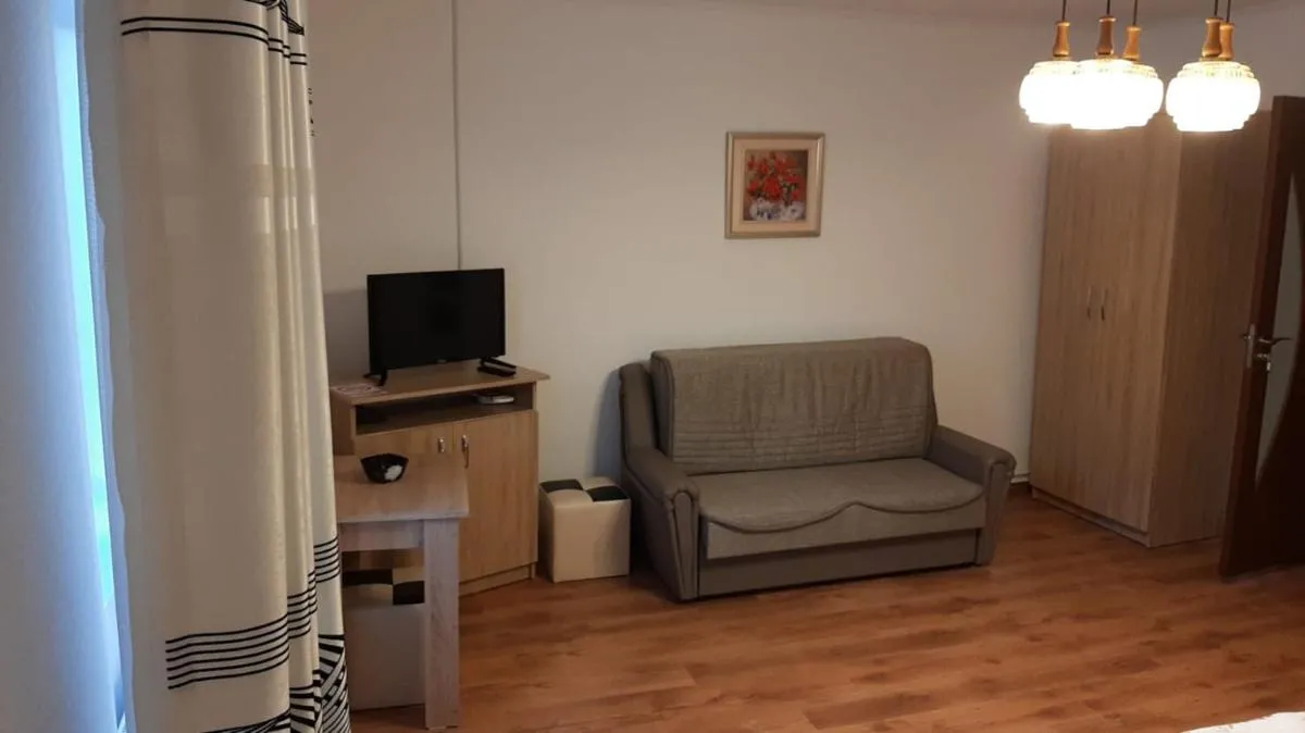 Image 6 of Casa Sviniceană
