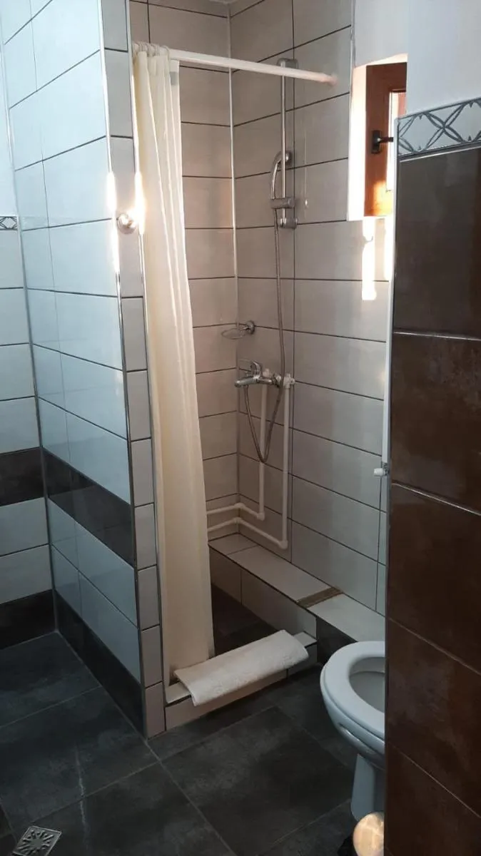 Image 4 of Casa Sviniceană
