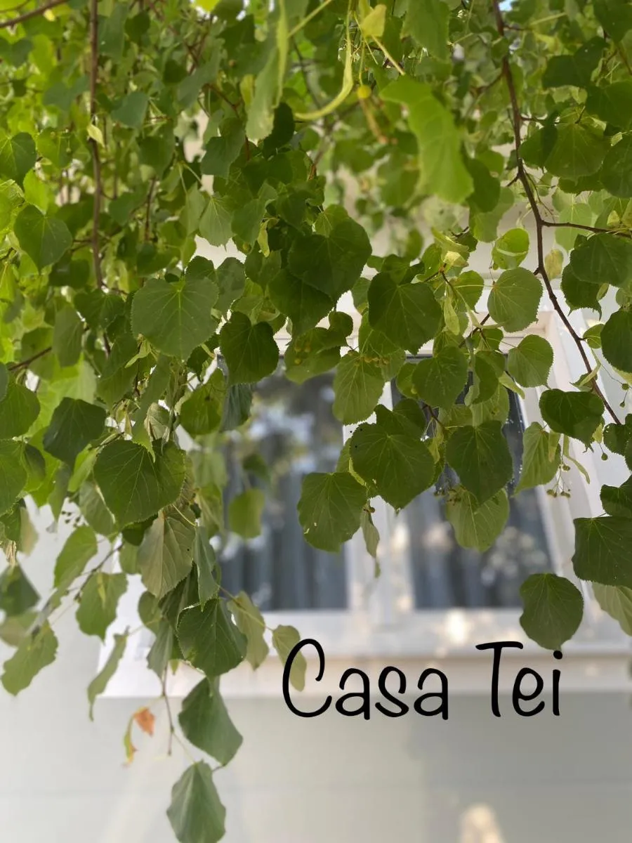 Image 4 of Casa Tei