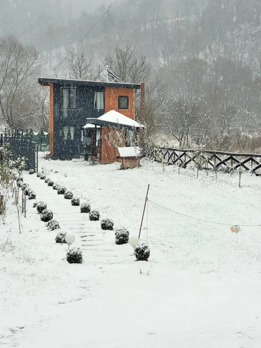 Image 4 of Casa Transylvania cu hot tub
