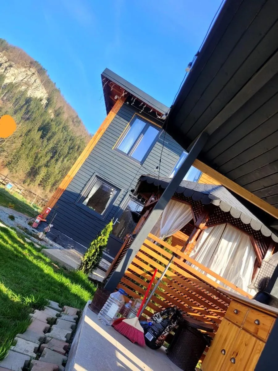 Image 5 of Casa Transylvania cu hot tub