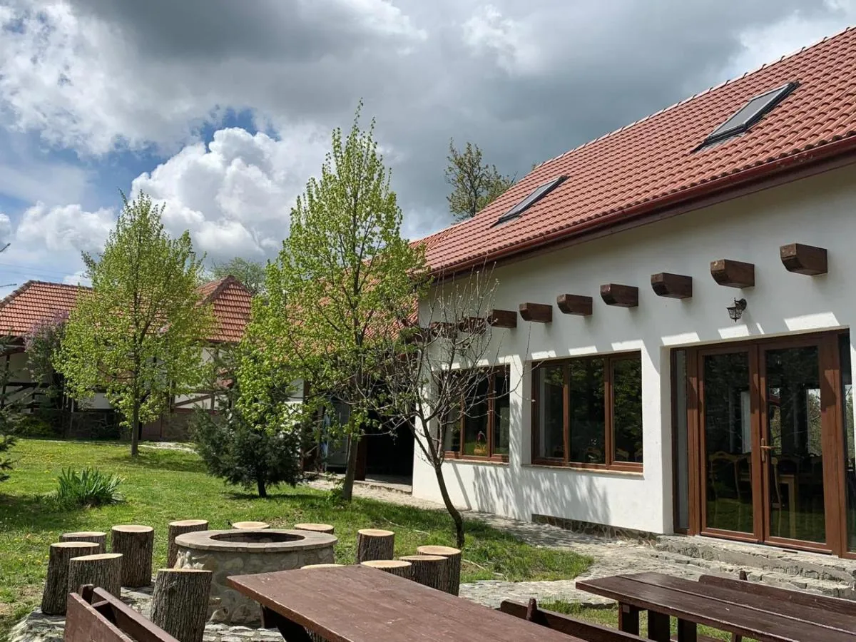 Image 3 of Casa Vatra Sinteului – Cu sala de evenimente de capacitate mare – Se inchiriaza integral