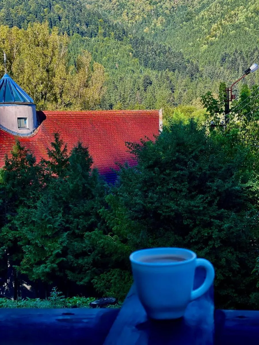 Image 6 of Casa de oaspeti Kinga’s Crown