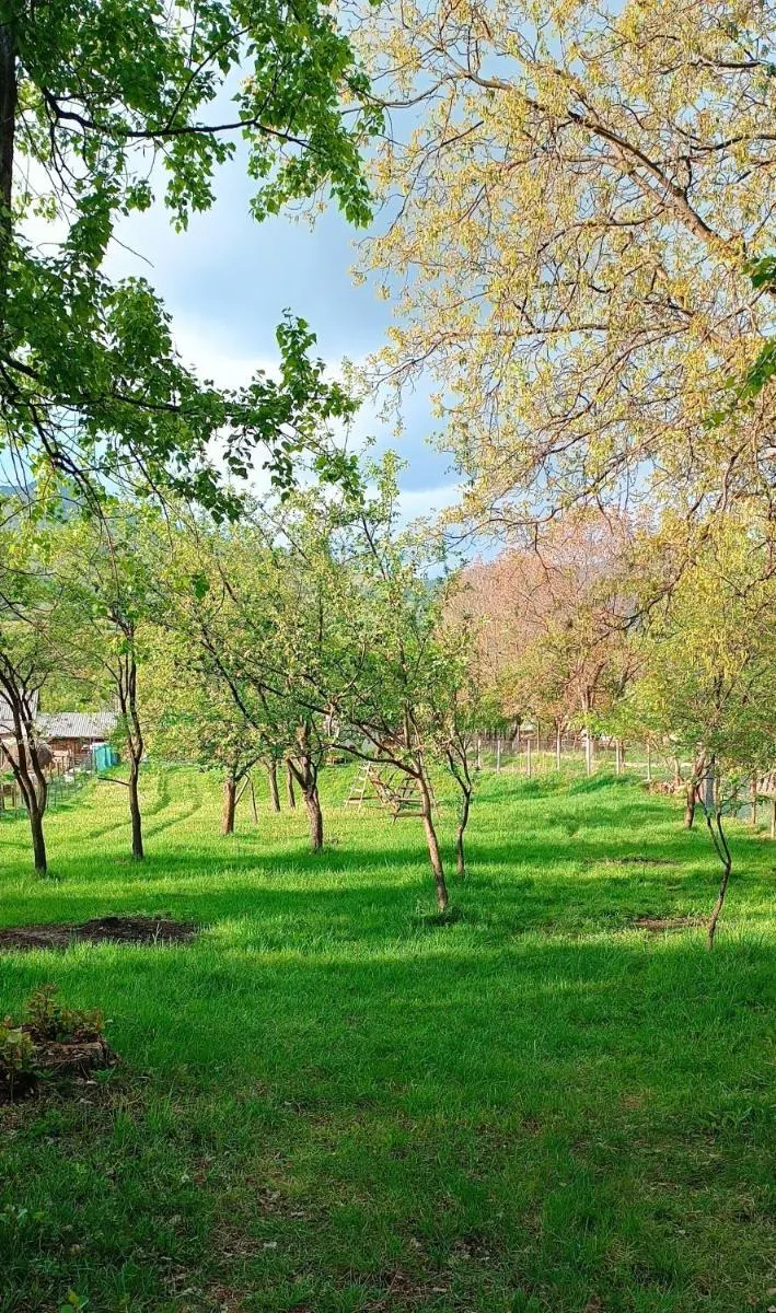 Image 7 of Casa de vacanta Balan