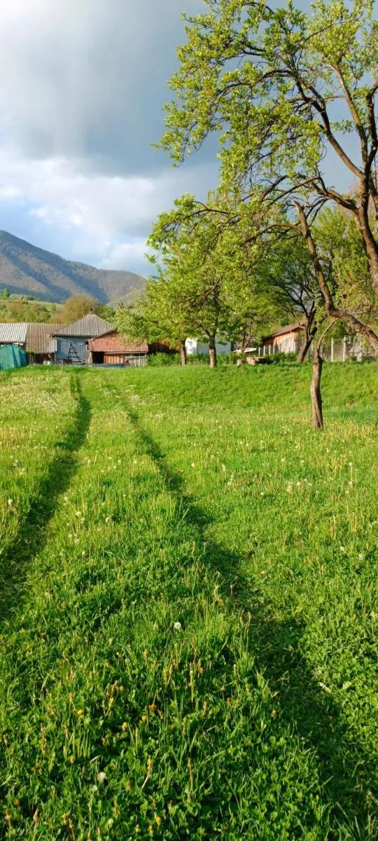 Image 6 of Casa de vacanta Balan