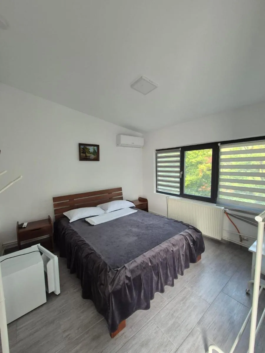 Image 4 of Casa de vacanta Larisa