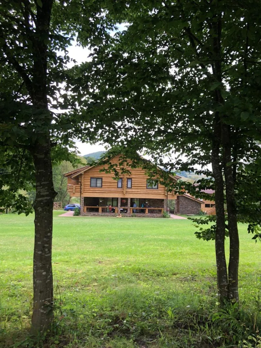 Image 6 of Casa din Vale