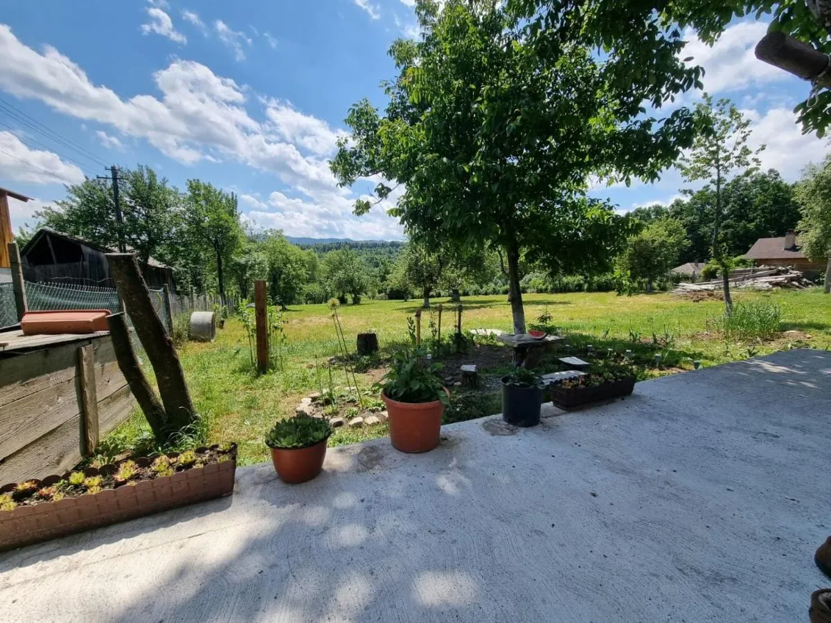 Image 2 of Casa primitoare in inima naturii si padurii