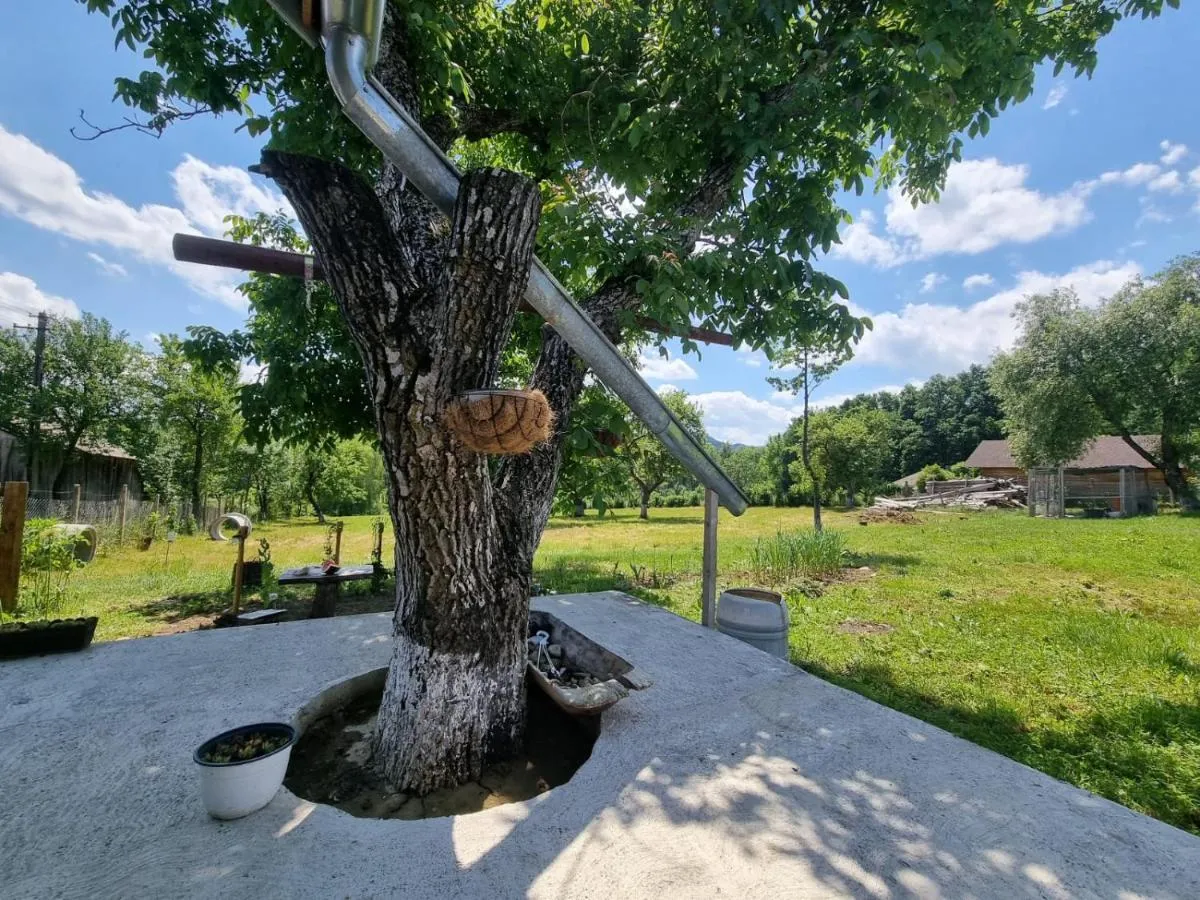 Image 7 of Casa primitoare in inima naturii si padurii