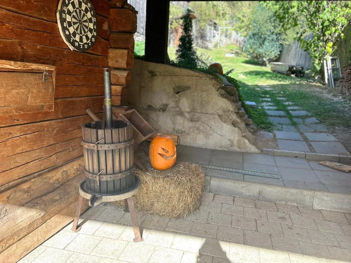 Image 7 of Casa veche “Old house”