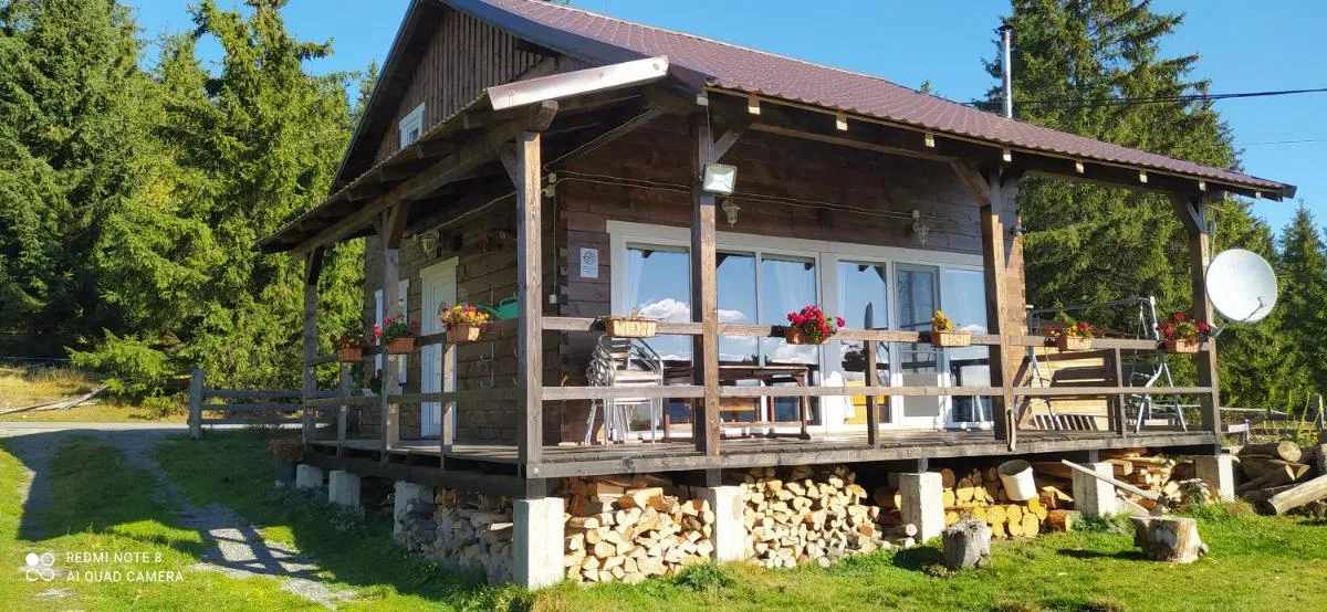 Image 4 of Casuta Schiorului