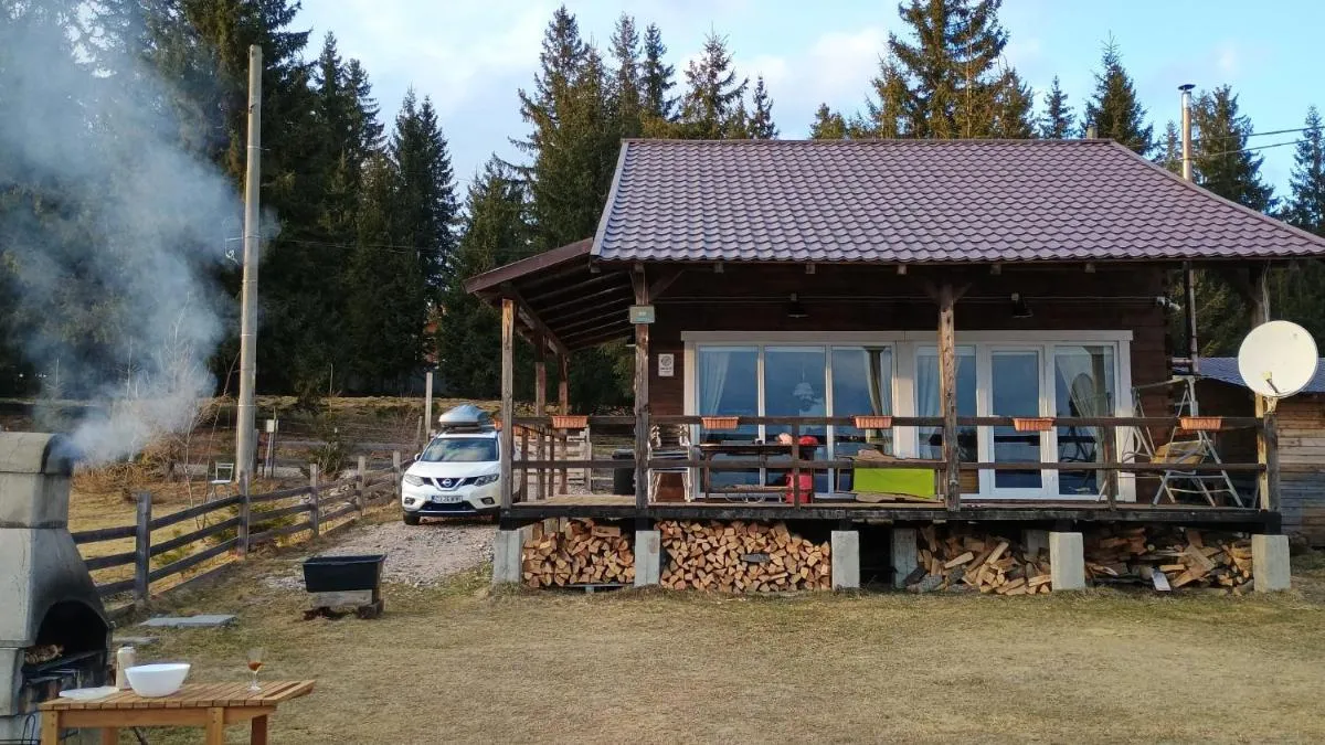 Image 2 of Casuta Schiorului