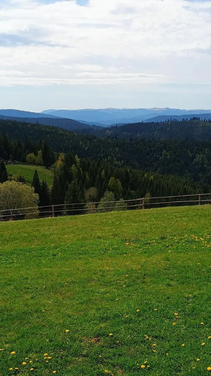 Image 5 of Casuta Schiorului 2, Mărișel Apuseni