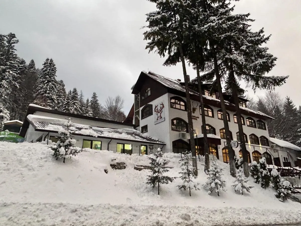 Image 3 of Cerbul Chalét Accommodation & Wellness