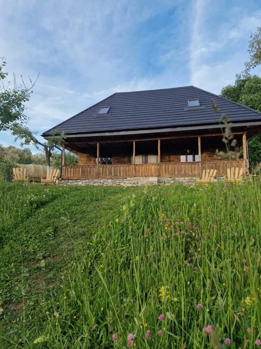 Image 4 of Cerdacul din Livada