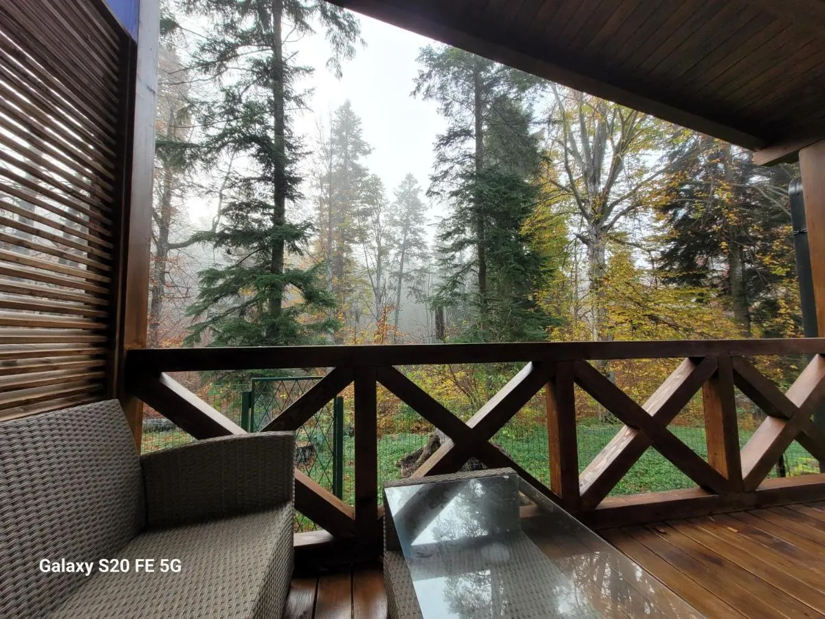 Image 3 of Chalet Amik