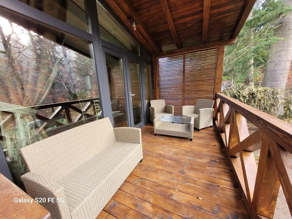 Image 6 of Chalet Amik