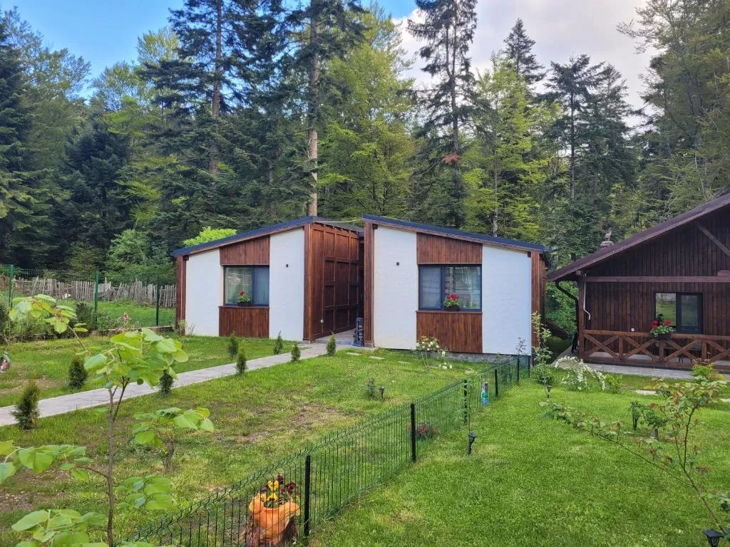 Image 1 of Chalet Amik