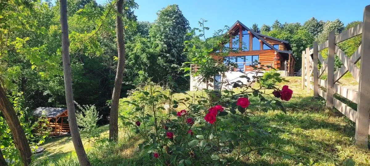Image 6 of Chalet Ursa Mare