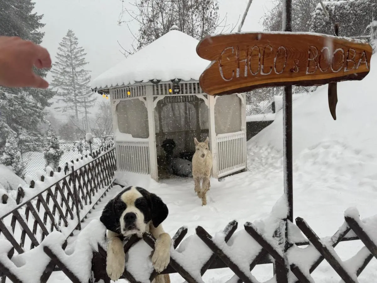 Image 4 of Chalet jolie Luxury Vila Sinaia