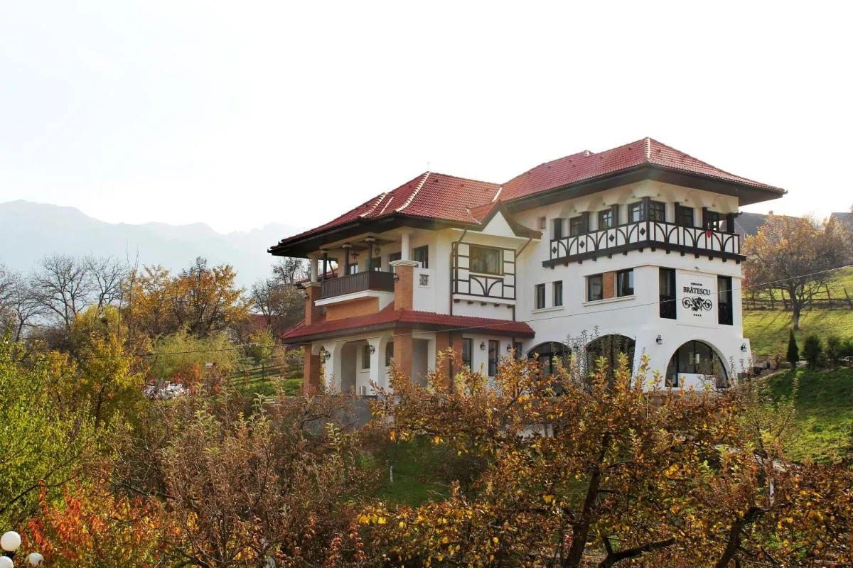 Image 7 of Conacul Bratescu