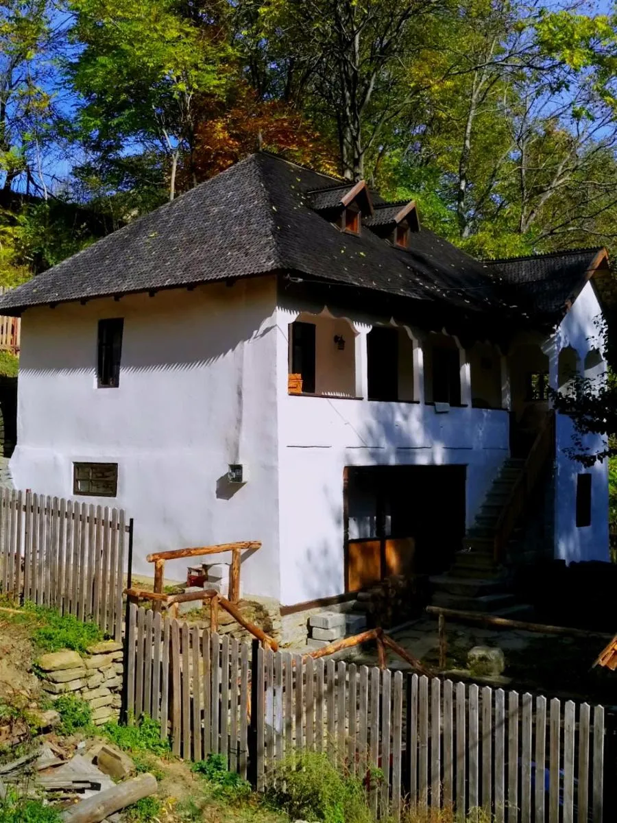 Image 7 of Conacul Copilăriei