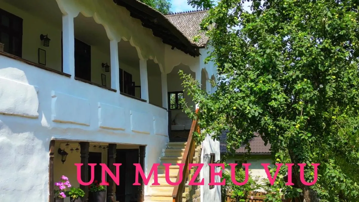 Image 4 of Conacul Copilăriei