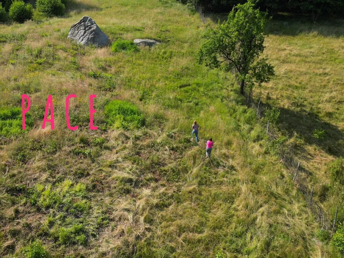 Image 6 of Conacul Copilăriei