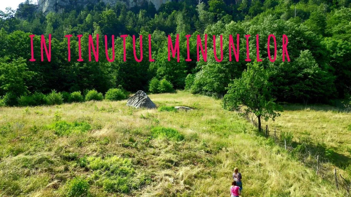 Image 5 of Conacul Copilăriei
